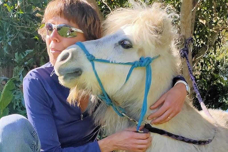 Billet Aventure à pied à poney