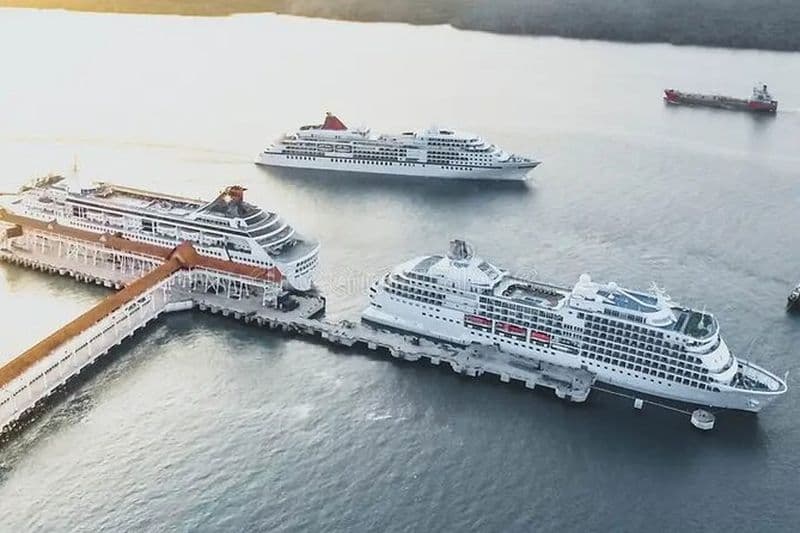 Excursion privée à terre du port de Klang à KL city tour