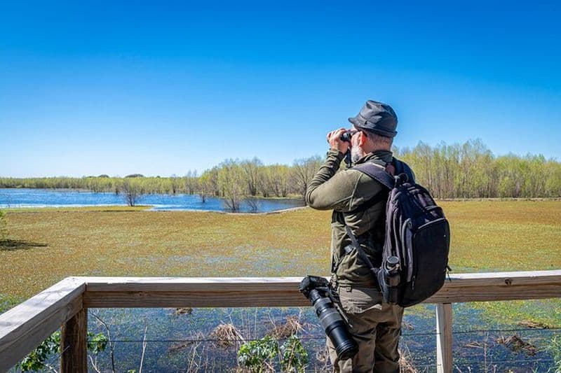 Observation des oiseaux et nature dans la réserve écologique de Costanera Sur