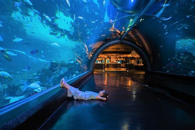 Billets pour les aquariums et le musée AR Trick Eye à Phuket