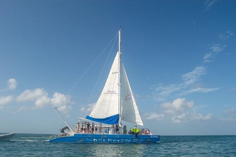 Plongée avec tuba et voile en catamaran Dolphin avec bar ouvert