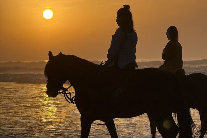 Equitation à Essaouira - Essaouira HorseRiding