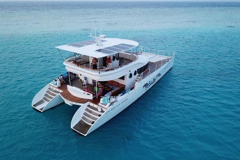 Catamaran privé - Prison Island & Nakupenda Sandbank (8 heures)