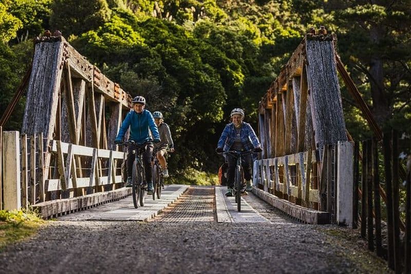 Remutaka Rail Trail - Excursion à terre sur un bateau de croisière à vélo électrique Wellington