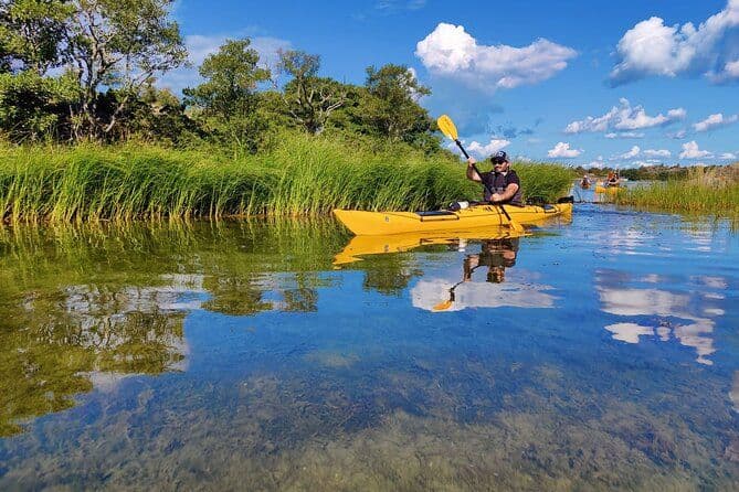 Excursion d'une journée en kayak en petit groupe dans l'archipel de Stockholm