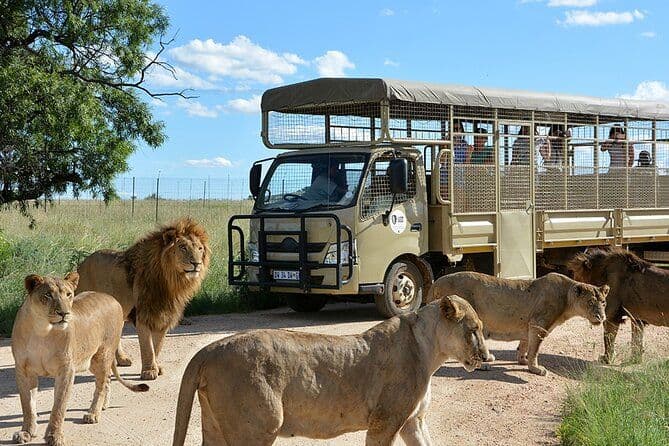 Billet Lion & Safari Park