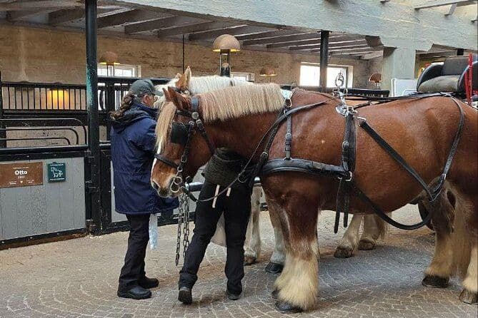 Carlsberg City Tour à l'endroit où la bière danoise est née