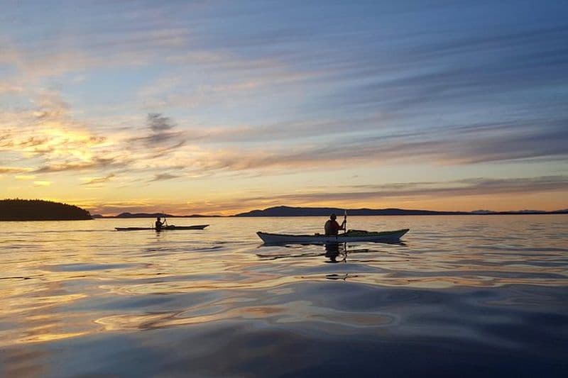 Billet Aventure d'une journée complète en kayak sur l'île de San Juan