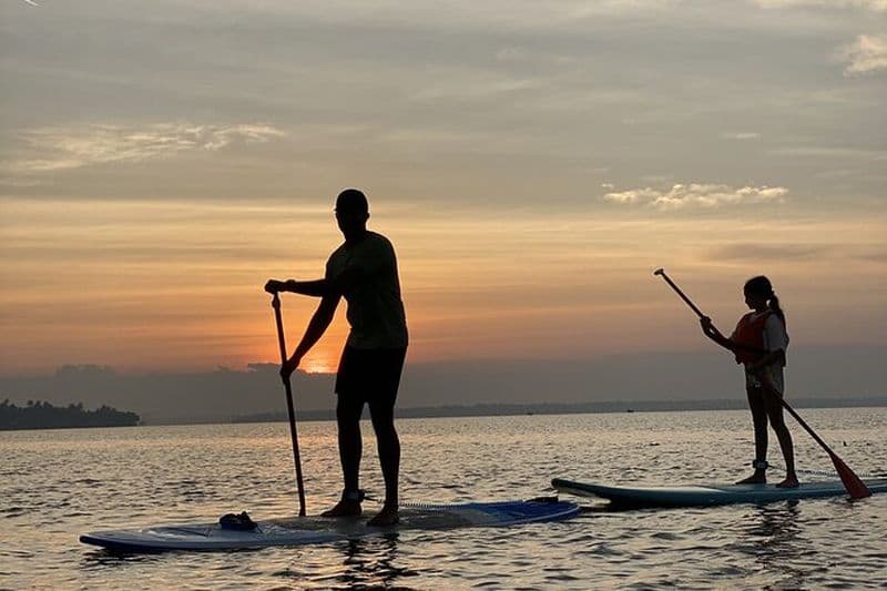 Standup Paddle à Kochi