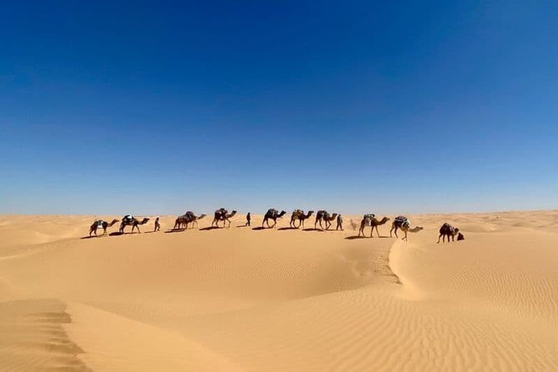 Visites du désert et randonnées aventureuses à dos de chameau à travers le Sahara