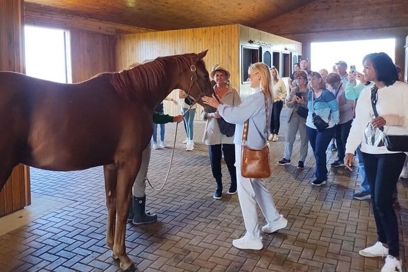 Billet Excursion d'une demi-journée à la ferme de chevaux pur-sang dans le Kentucky