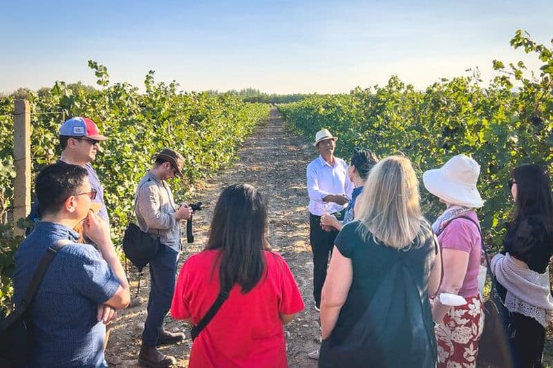 Goût de vin de 3 jours 2-Nignt à travers la région viticole chinoise du Ningxia