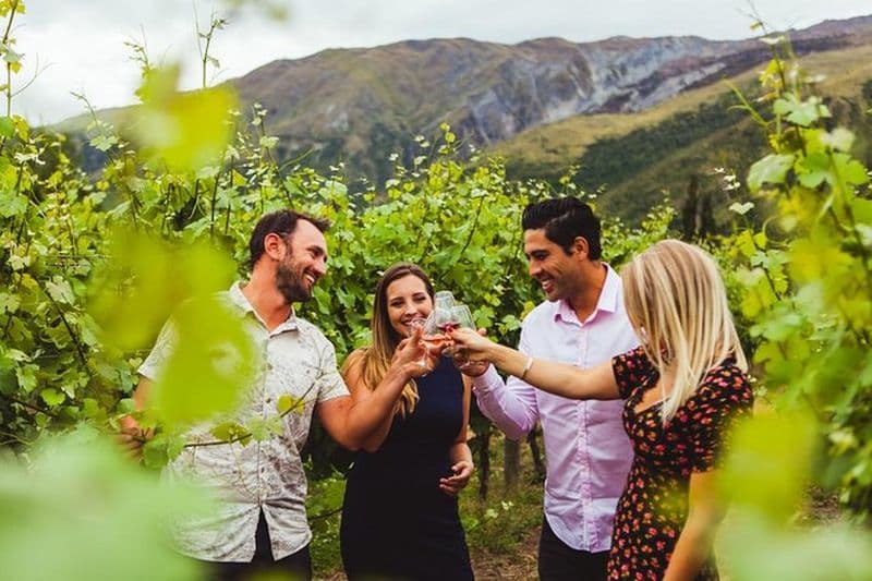 Dégustation de vins Premium primés à Queenstown dans 4 établissements vinicoles