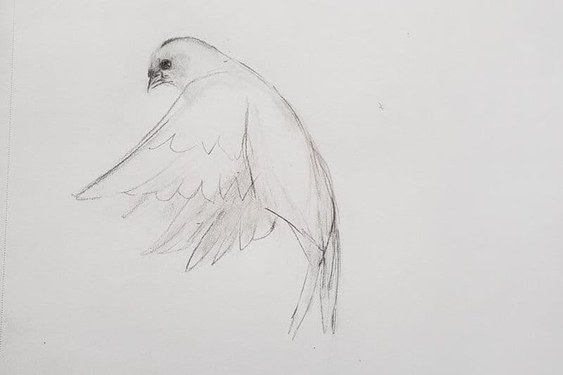 Introduction au dessin