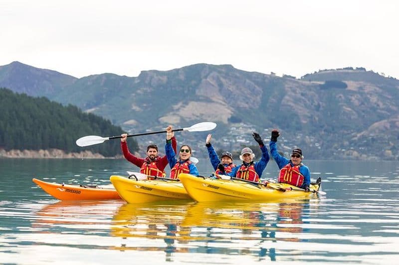 Kayak de mer Christchurch, port de Lyttelton et Quail Island