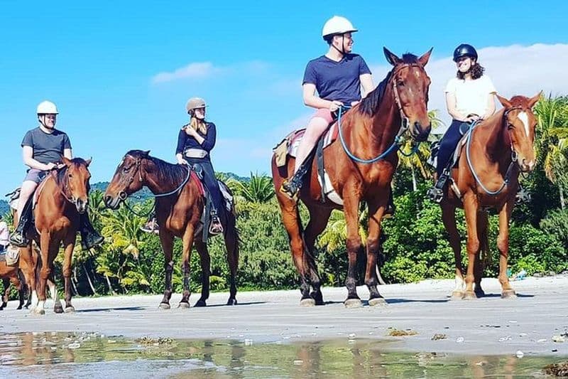 Billet Après-midi balade à cheval sur la plage à Cape Tribulation
