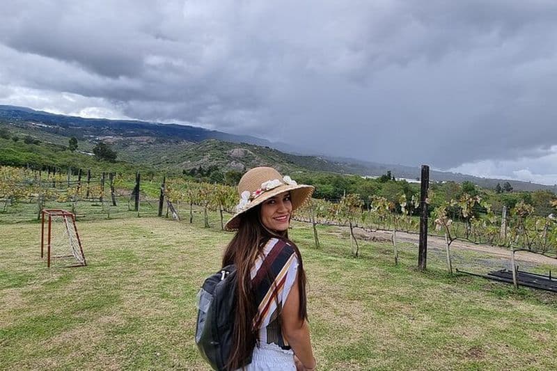 Visite des vignobles depuis Villa DE Leyva Dégustation de vin et vues panoramiques