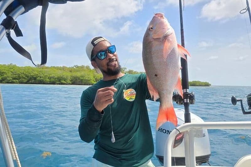 Billet Excursion de pêche au récif à la traîne et à la goutte au départ de Hopkins