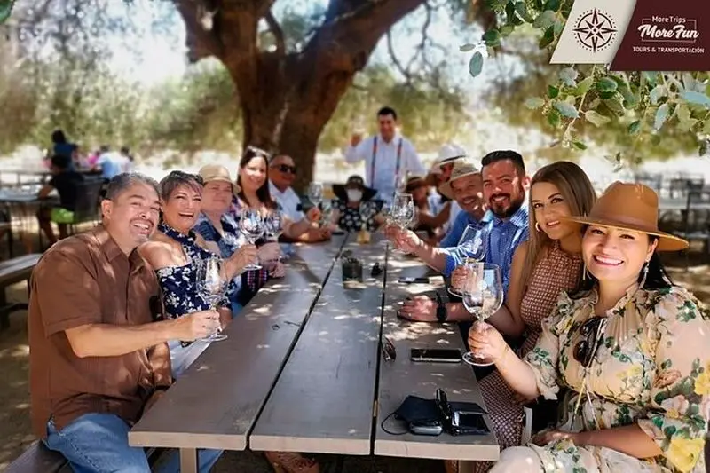 Visites des vignobles et de la brasserie Valle de Guadalupe