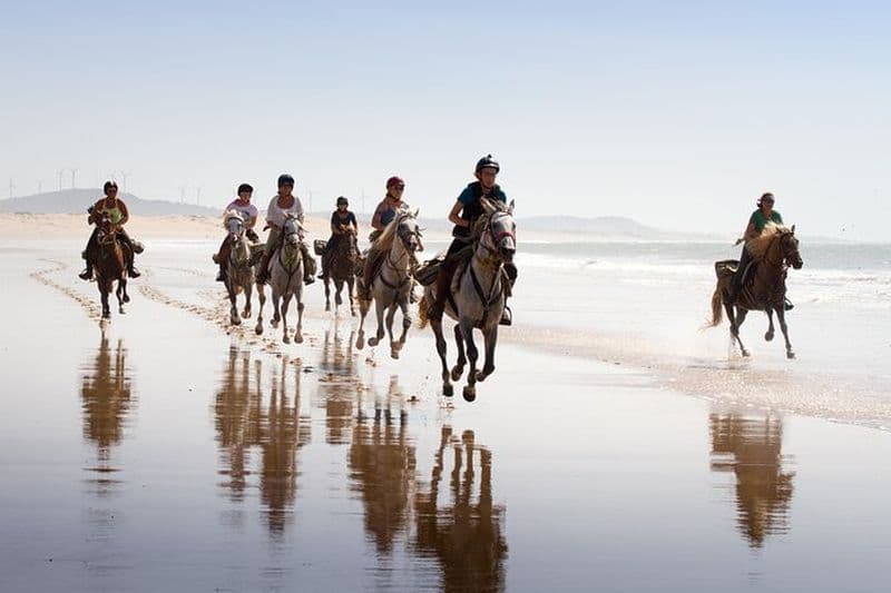 Balade à cheval de 2h sur la plage d'Essaouira