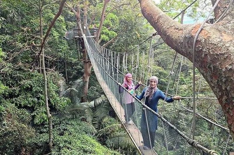 Forest Research Institute Malaysia (FRIM) Excursion Nature Trekking