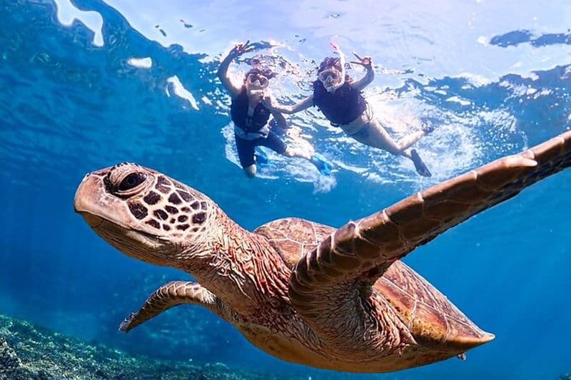 Okinawa Miyakojima 1 jour le plus populaire !Plan complet du circuit de Miyakojima (SUP, snorkeling, spéléologie et canoë)