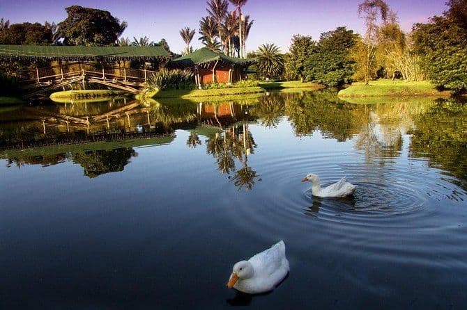 Jardin botanique Bogotá Visite privée (4 heures)