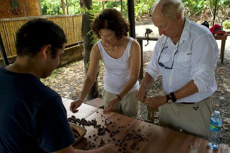 Ferme de cacao et fabrication de chocolat!