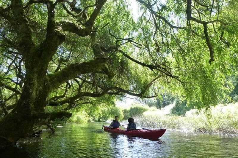 Kayak Laguna La Poza 1/2 journée