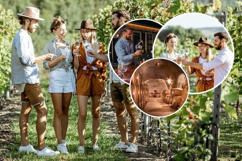 Visite des vins de Queenstown - Gibbston Valley Cave | Kinross | Amisfield