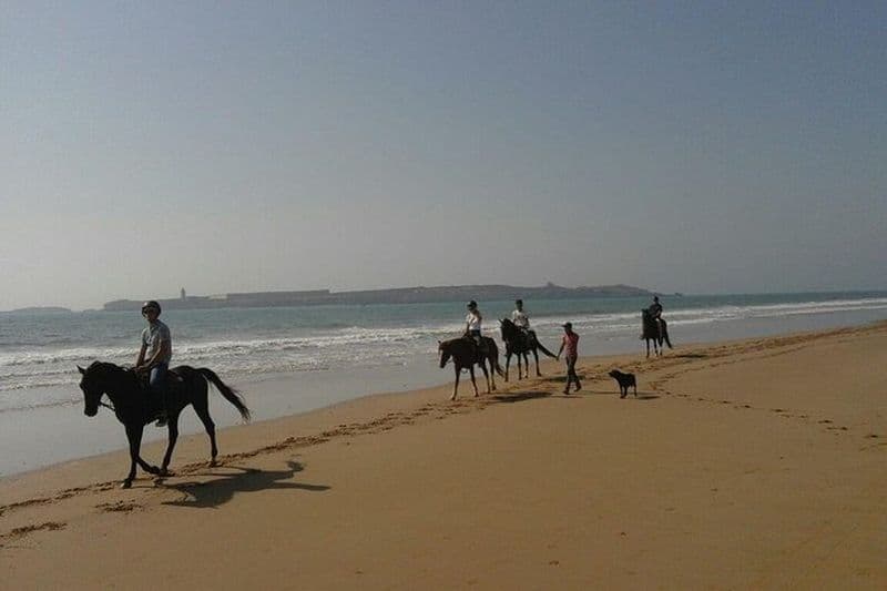1h de balade à cheval sur la plage d'essaouira