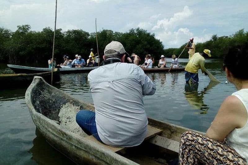 Balade écologique en pirogue à levier avec spectacle de pêche artisanale
