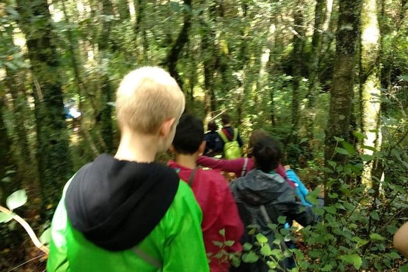 Excursion à travers Grixalba, Ruta dos Muíños et atelier de fromage