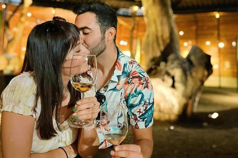 Visite privée des vins à Valle de Guadalupe (une dégustation de vin incluse).