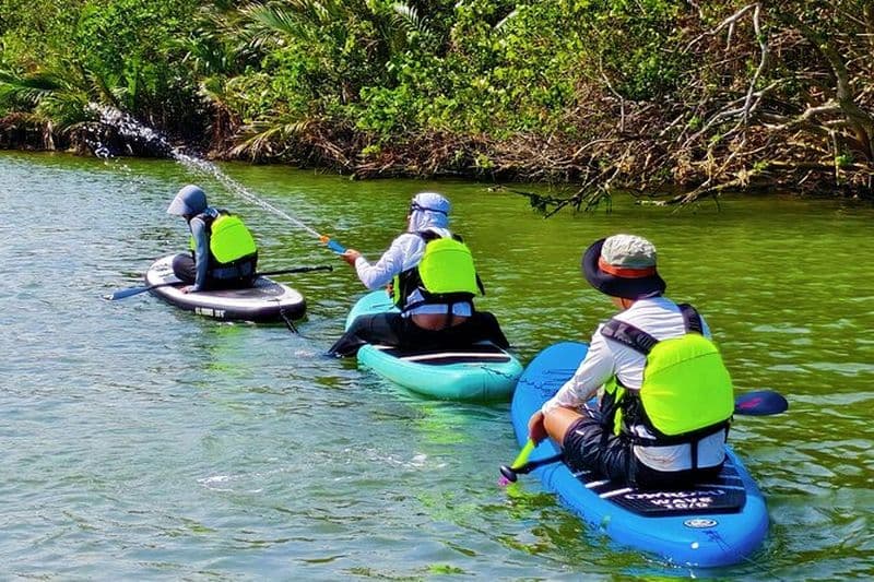 Wanning Stand Up Paddle boarding Aventure à Sun Moon Bay