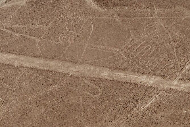 Visite des lignes de Nazca + des aqueducs de Cantalloc