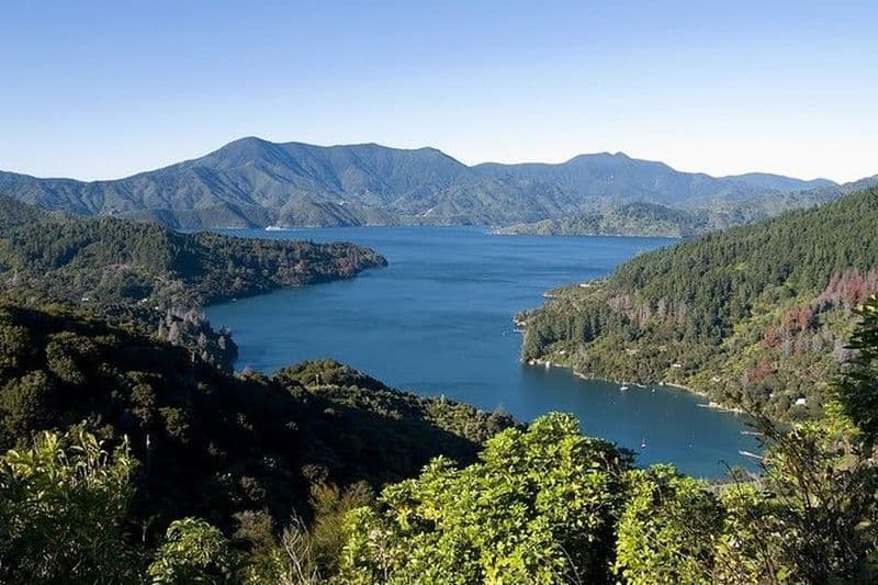 Moules de Marlborough de Karaka Point et chocolat Makana