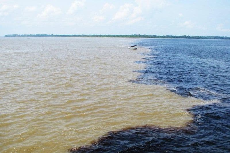 Rencontre des eaux et visite des dauphins roses avec déjeuner