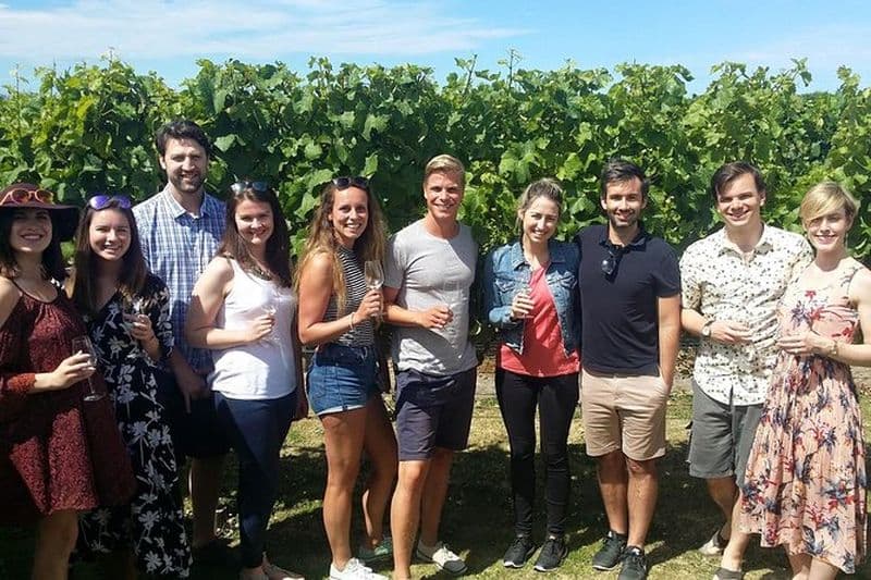 Visite d'une demi-journée des vins et de la bière à Marlborough