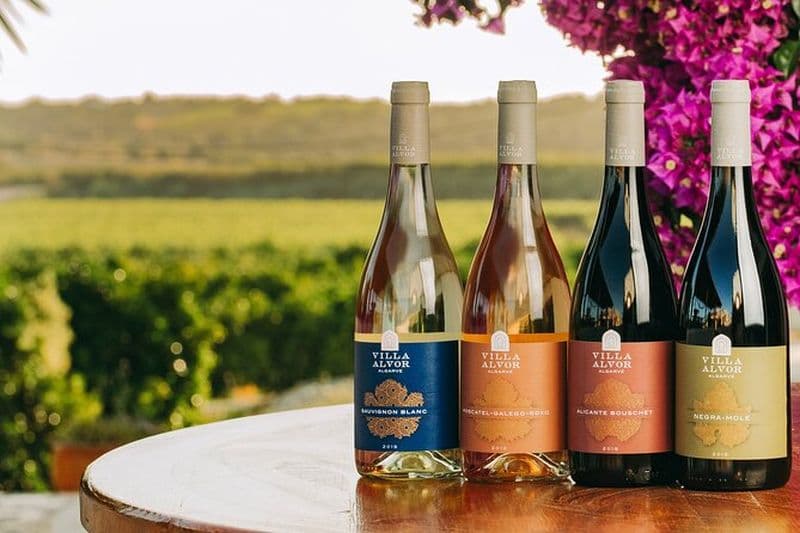 Dégustation de vins et de tapas en 4x4