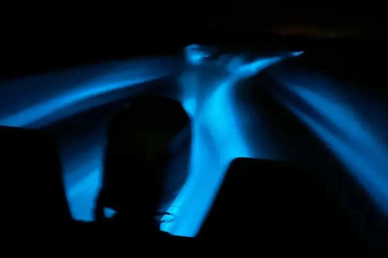 Bioluminescence Tour & Sunset River Cruise