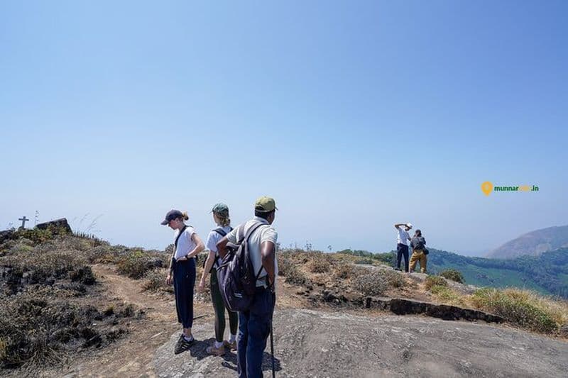 Randonnée en montagne à Munnar (demi-journée) Par Munnar Info