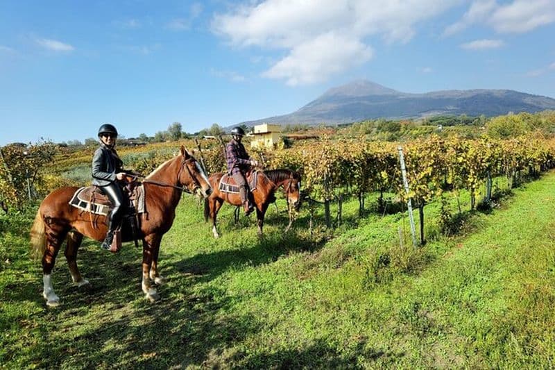 Visite guidée de Pompéi et promenade à cheval sur le Vésuve avec déjeuner