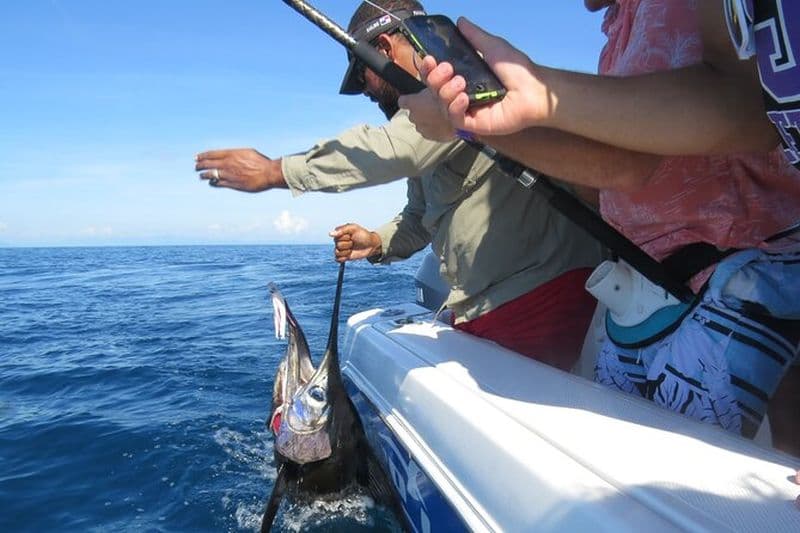 Pêche sportive privée – 27ft Proline | Îles Perles du Sud