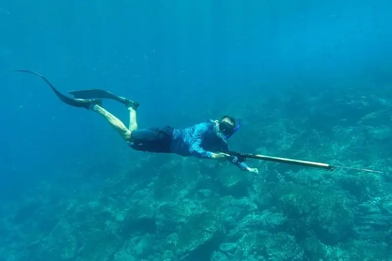 Billet Cours de chasse sous marine