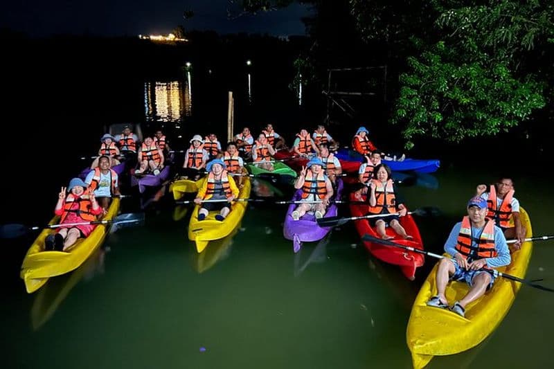 Observation des lucioles à Bohol en kayak sur la rivière Abatan