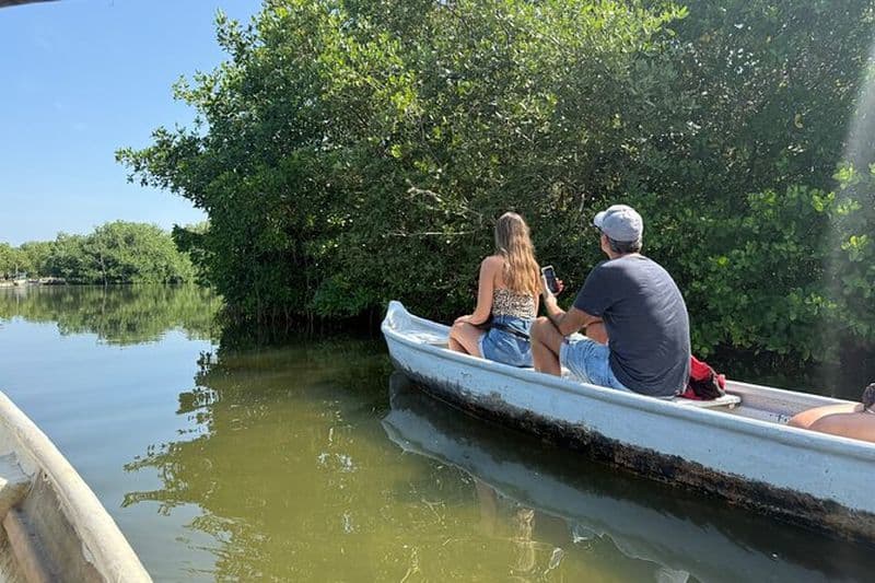 Billet Écotourisme dans les mangroves et pêche artisanale : nature et communauté locale