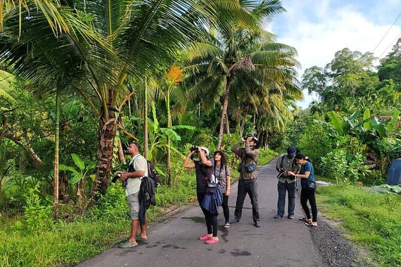 Lever du soleil à Kalapathar, observation des oiseaux et visite du village
