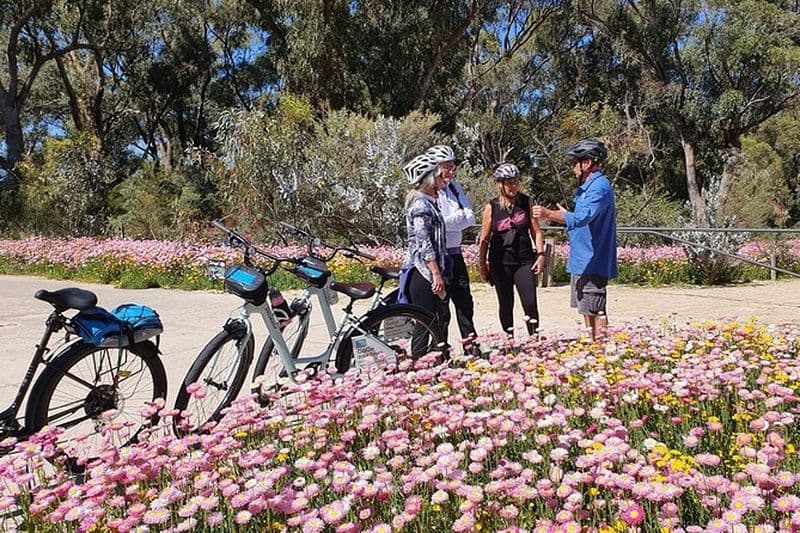 Billet Pédales et pétales - À la découverte des fleurs sauvages Visite à vélo Kings Park