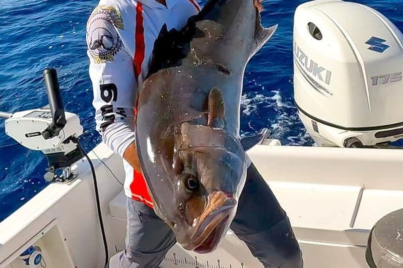 Journée Privée de Pêche Sportive à Saint Laurent du Var